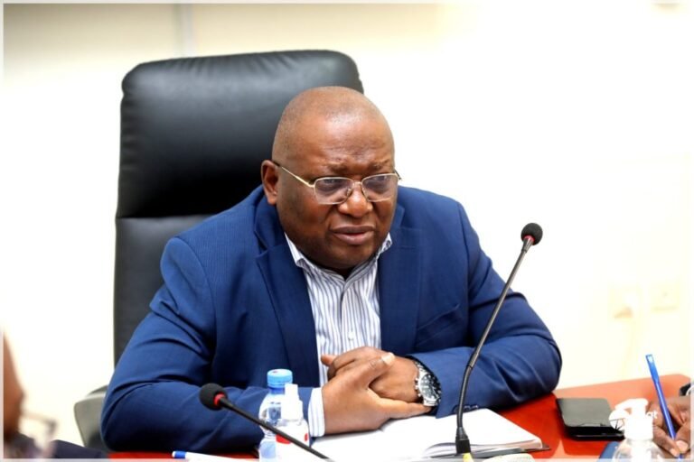 Concession-Kasomeno-Mwenda2-1024x682